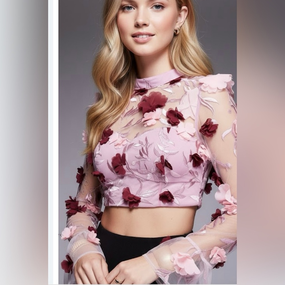ASOS Pink and Red Crop Blouse with Puff Sleeves